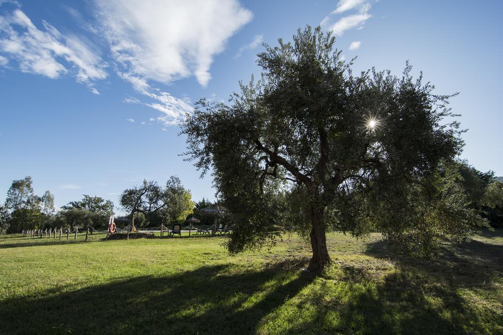 Tenuta Col Di Sasso Скарліно Екстер'єр фото