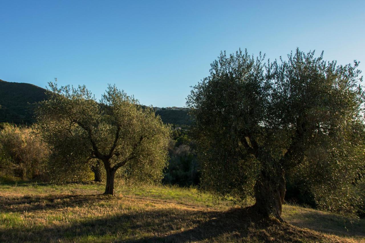 Tenuta Col Di Sasso Скарліно Екстер'єр фото