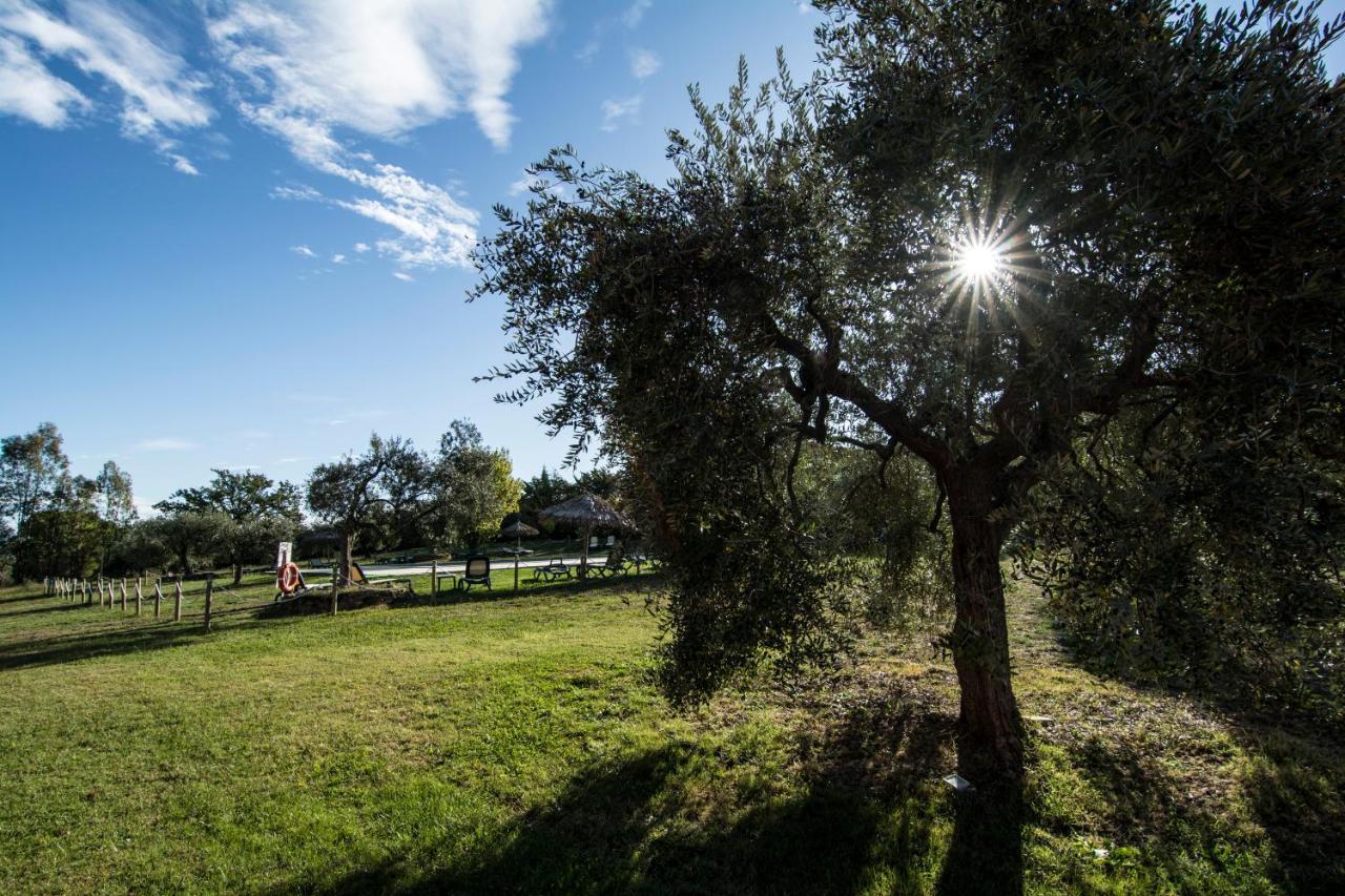 Tenuta Col Di Sasso Скарліно Екстер'єр фото